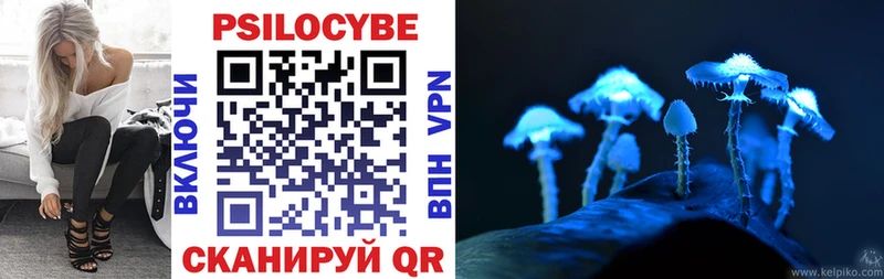 Галлюциногенные грибы Cubensis Ейск